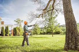 Leaf Removal in Plymouth, WI